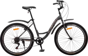 Велосипед DeltA Fiesta FIESTA26.17.GR 26 (серый) icon