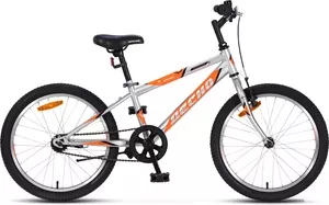 Детский велосипед Десна Феникс V 20 2019 (серебристый/оранжевый) фото
