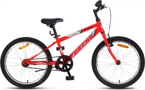 Детский велосипед Десна Феникс V 20 2019 (красный/серый) фото