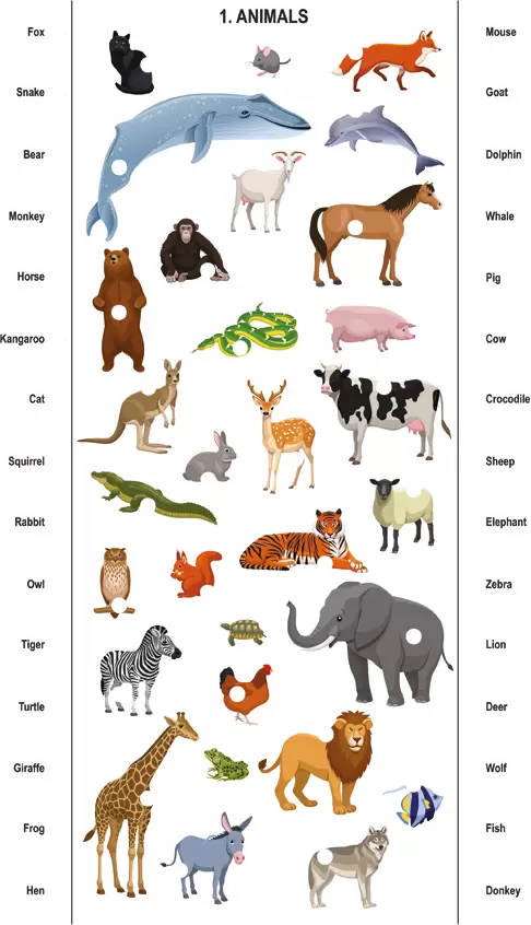 Настольная игра Десятое королевство Электровикторина. Английский язык 03665 фото