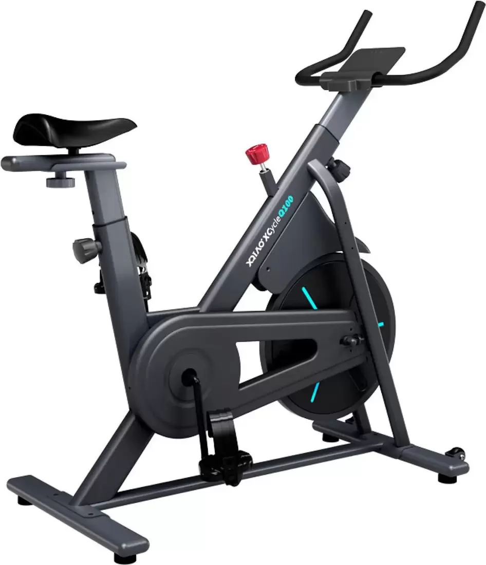 Велотренажер DFC Ovicx B-Q100B фото