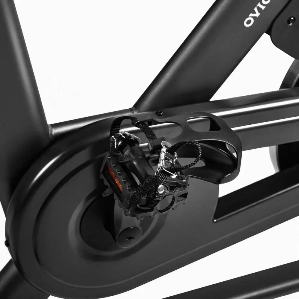 Велотренажер DFC Ovicx B-Q100B фото