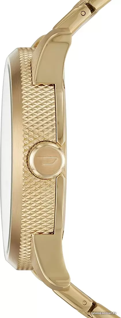 Наручные часы Diesel DZ1761 фото
