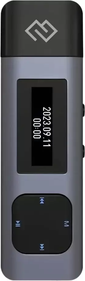 Digma DiVoice RV50