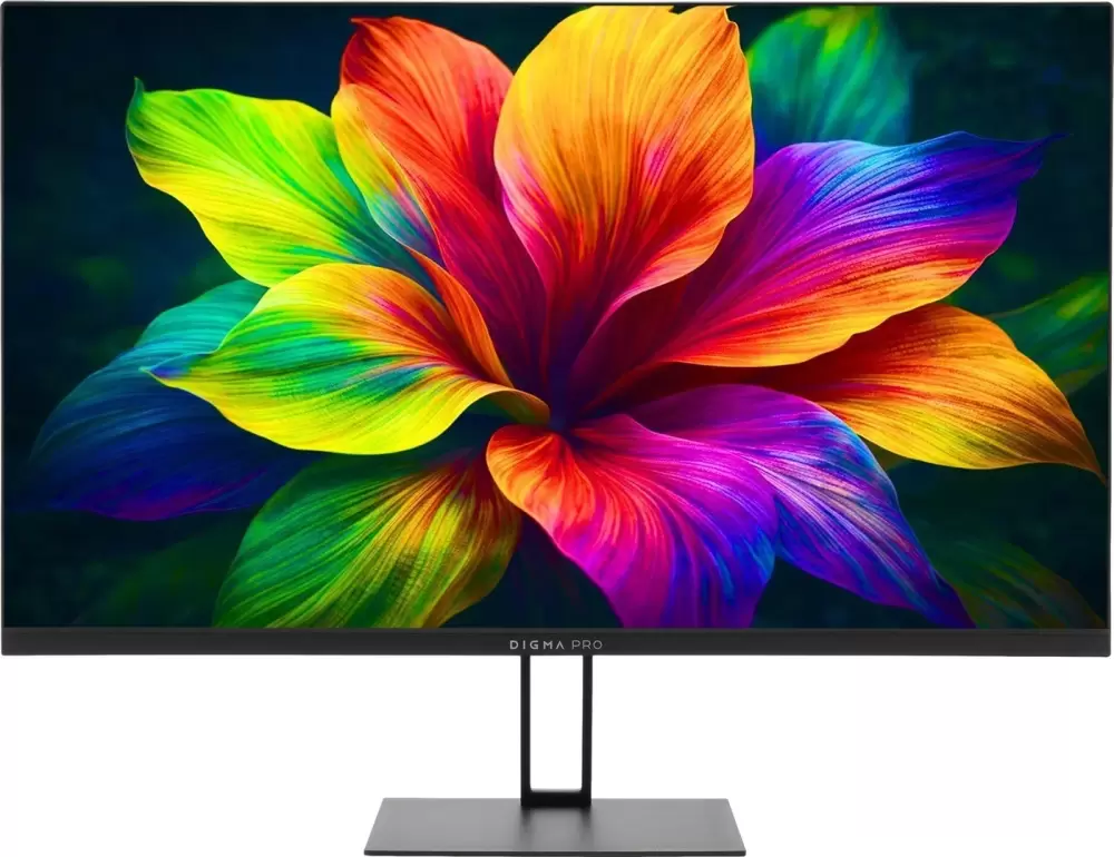 Digma Pro Motion M TM27SB01