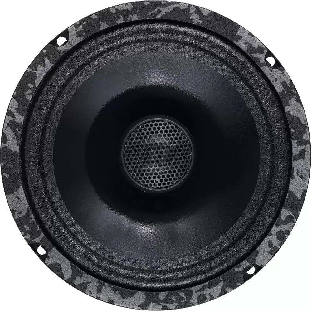 Автоакустика DL Audio Anaconda 165 Coax фото 2