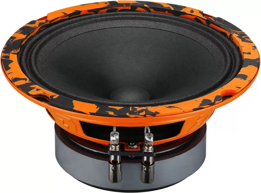 DL Audio Gryphon Pro 165