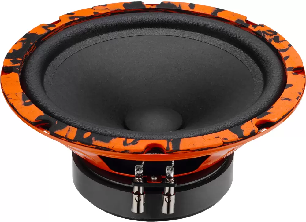 DL Audio Gryphon Pro 200 Midbass