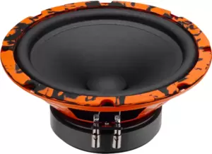 Автоакустика DL Audio Gryphon Pro 200 Midbass фото