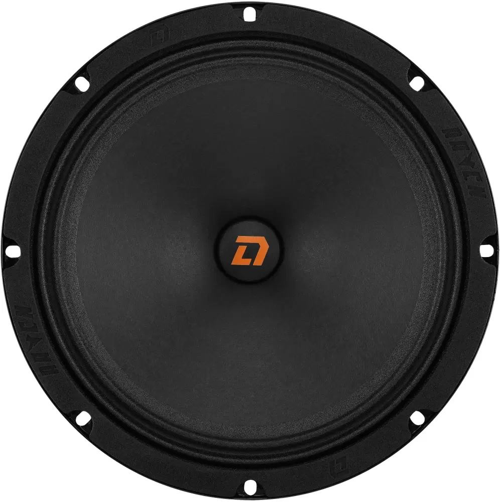 Автоакустика DL Audio Raven 200 v2 фото
