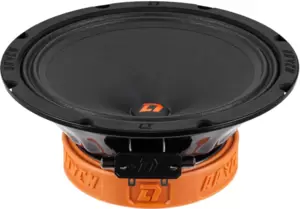 DL Audio Raven 200 v2