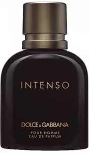 Парфюмерная вода Dolce&Gabbana Intenso Pour Homme 40 мл icon