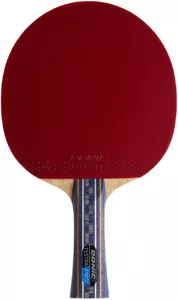 Ракетка для настольного тенниса Donic-Schildkrot Testra Pro 200204 фото