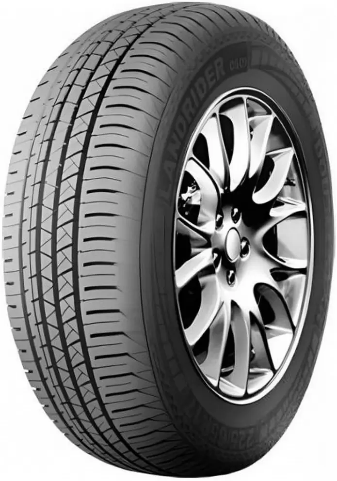 DoubleStar DS09 225/60R18 100H