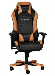 Офисное кресло DXRacer Iron OH/SI00 фото