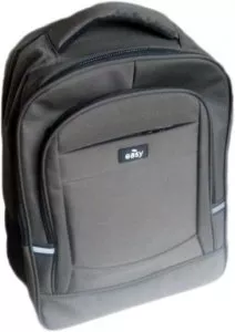 Рюкзак для ноутбука Easy PTKLB112901GR фото
