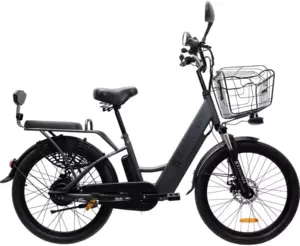 Ecoliner E-Alfa 24 240Вт 48В 14А/ч (черный)