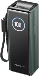 Портативное зарядное устройство EcoFlow Rapid 25000mAh (с кабелями 100 Вт, 170 Вт, зеленый) фото
