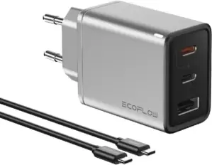 Сетевое зарядное EcoFlow Rapid GaN Charger 65W фото