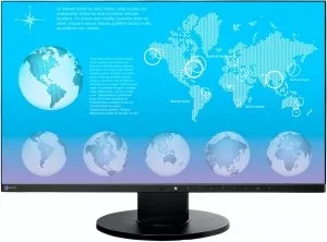 Монитор EIZO FlexScan EV2450 фото