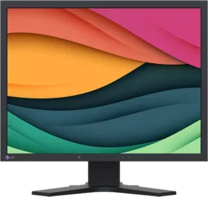 Монитор EIZO FlexScan S2133 (S2133-BK) фото