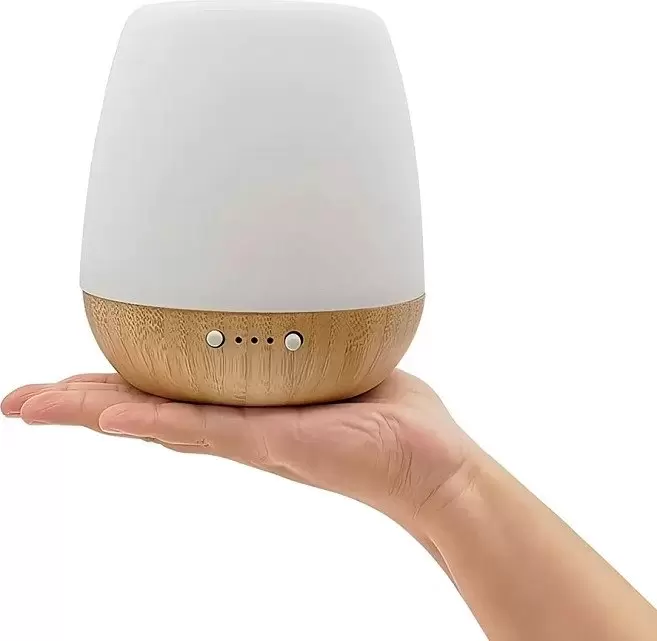 Увлажнитель воздуха EL15 DHM-M1-1 фото