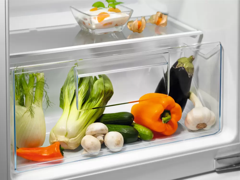 Мини-холодильник Electrolux LFB2AE88S фото