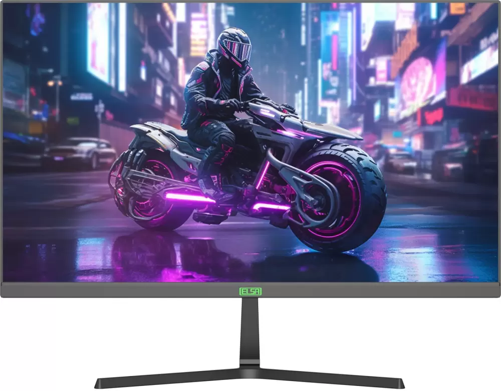 Elsa EA241GS Pro