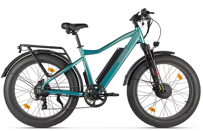 Eltreco BigCat Dual Next (бирюзовый)