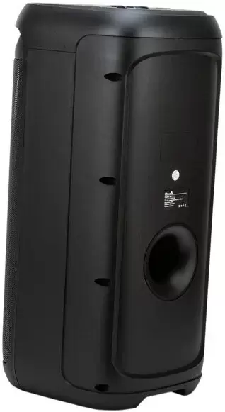 Беспроводная колонка Eltronic 30-44 Dance Box 900 фото