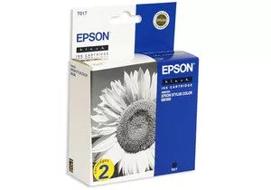 Струйный картридж EPSON C13T017402 фото