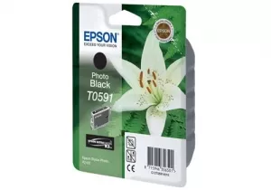 Струйный картридж EPSON C13T05914010 фото