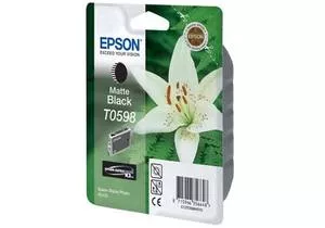 Струйный картридж EPSON C13T05984010 фото