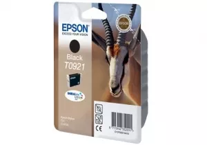 Струйный картридж EPSON C13T09214A10 фото