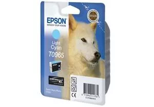 Струйный картридж EPSON C13T09654010 фото