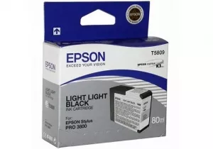 Струйный картридж EPSON C13T580900 фото