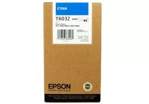 Струйный картридж EPSON C13T603200 фото