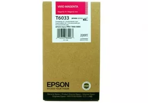 Струйный картридж EPSON C13T603300 фото