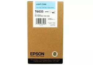 Струйный картридж EPSON C13T603500 фото