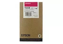 Струйный картридж EPSON C13T603B00 фото
