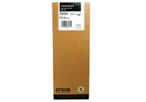 Струйный картридж EPSON C13T606100 фото