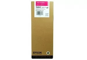 Струйный картридж EPSON C13T606B00 фото