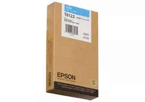 Струйный картридж EPSON C13T612200 фото