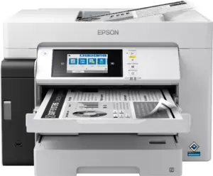 Многофункциональное устройство Epson M15180  фото