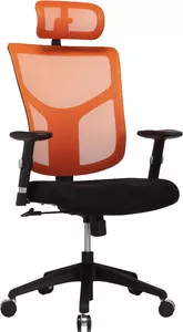 Офисное кресло Ergostyle Star-E фото