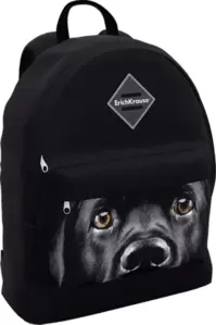 Школьный рюкзак Erich Krause EasyLine 17L Black Dog 60324 фото