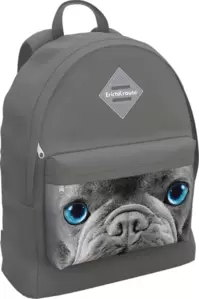 Рюкзак Erich Krause EasyLine 17L Grey Dog 60325 фото
