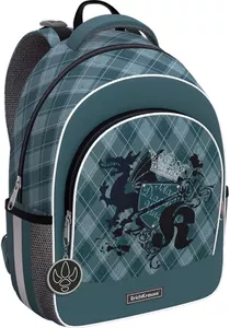 Школьный рюкзак Erich Krause ErgoLine 15L Dragon Emblem 57025 фото
