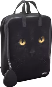 Городской рюкзак Erich Krause StreetLine 16L Black Cat 57139 фото