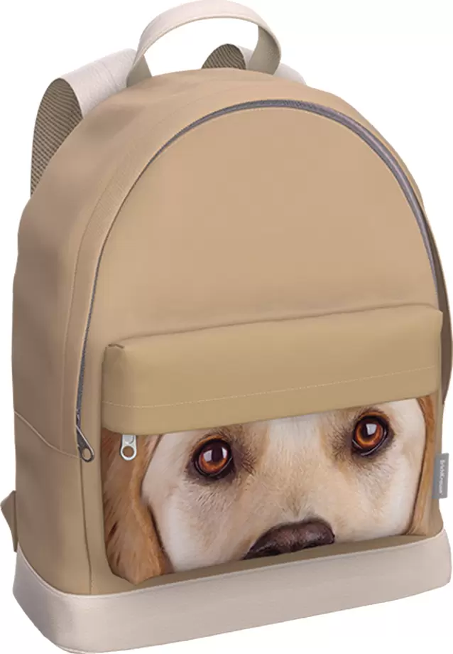 Erich Krause StreetLine 17L Beige Dog 60905